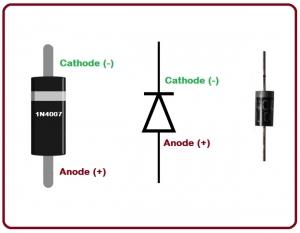 1N4007 Pinout